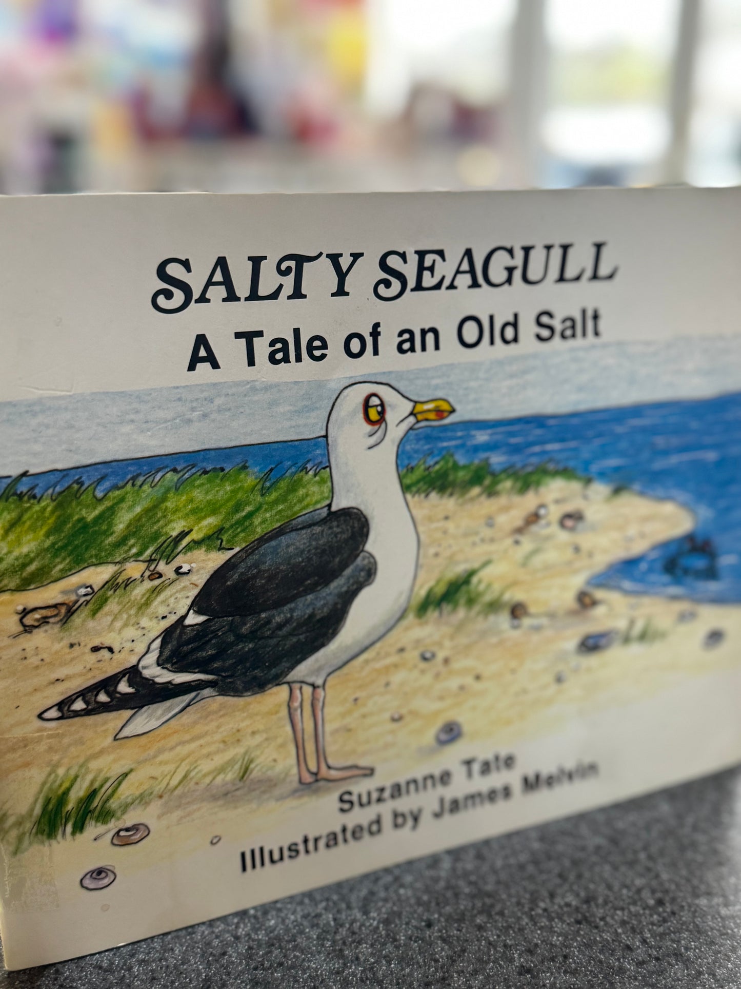 Slaty Seagull A Tale of an Old Salt Book