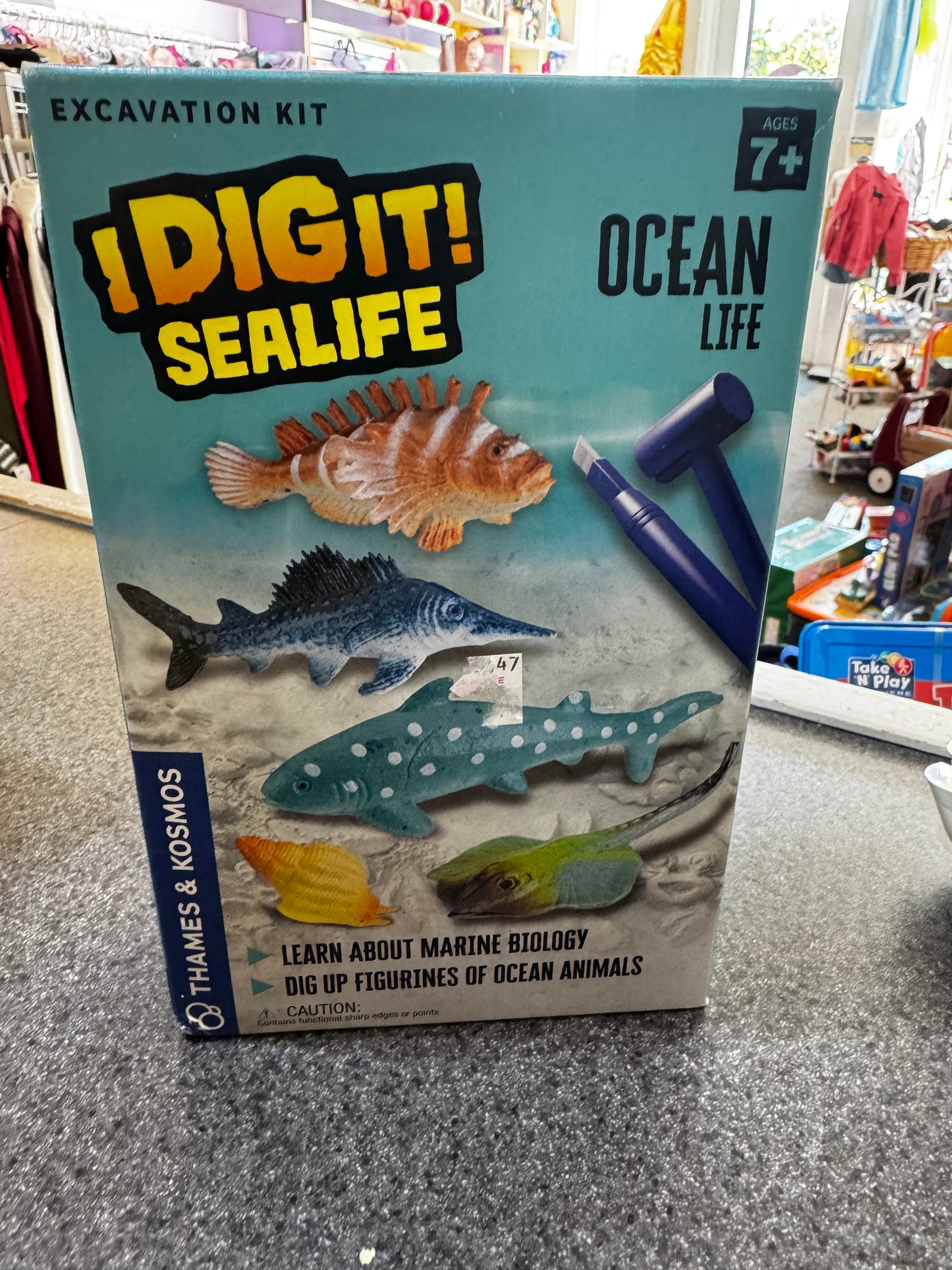 New~ Thames & Kosmos I Dig It! Sealife