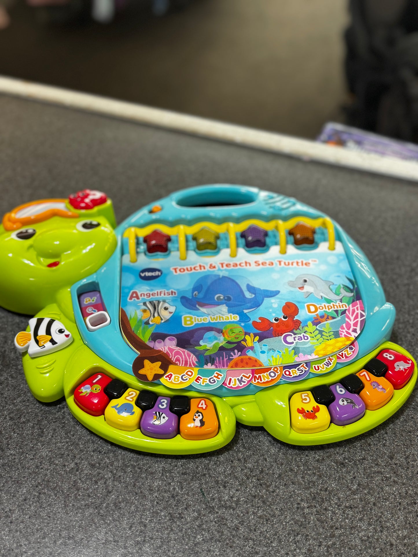 VTech Touch & Teach Sea Turtle Baby and Toddler Toy