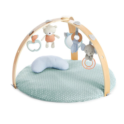 Ingenuity Cozy Spot Duvet Gym