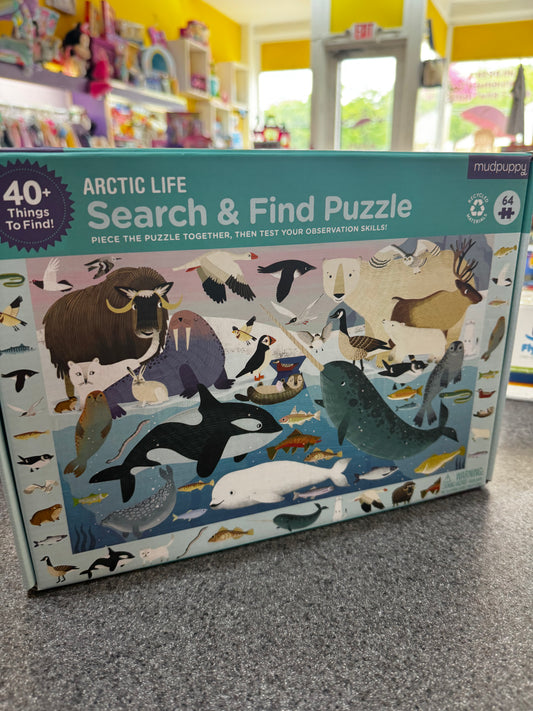 Arctic Life Search & Find Puzzle