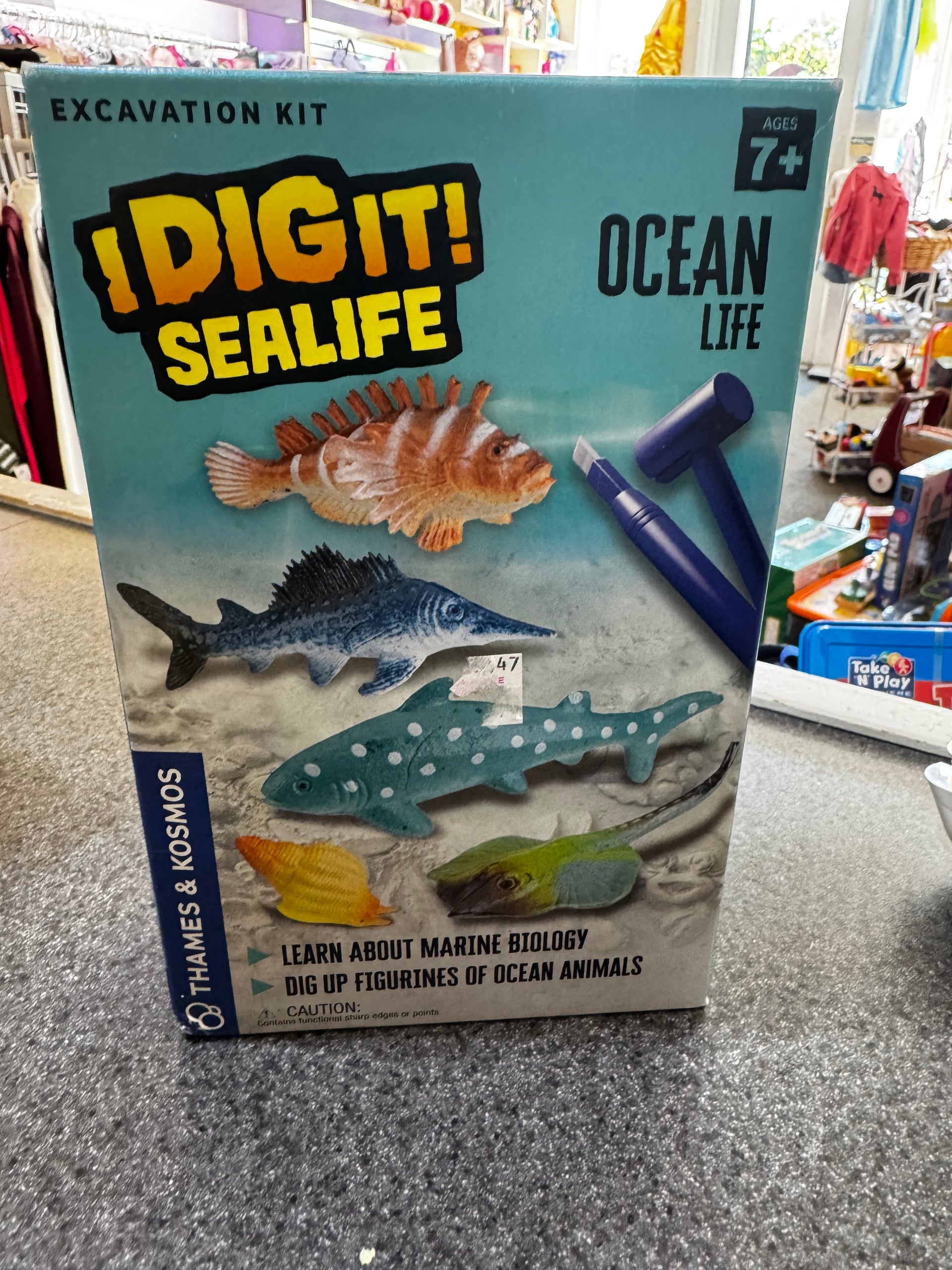 New~ Thames & Kosmos I Dig It! Sealife