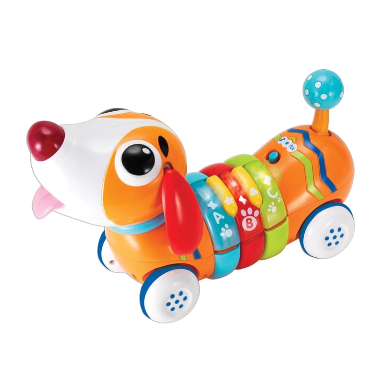 Winfun Remote Control Rainbow Pup