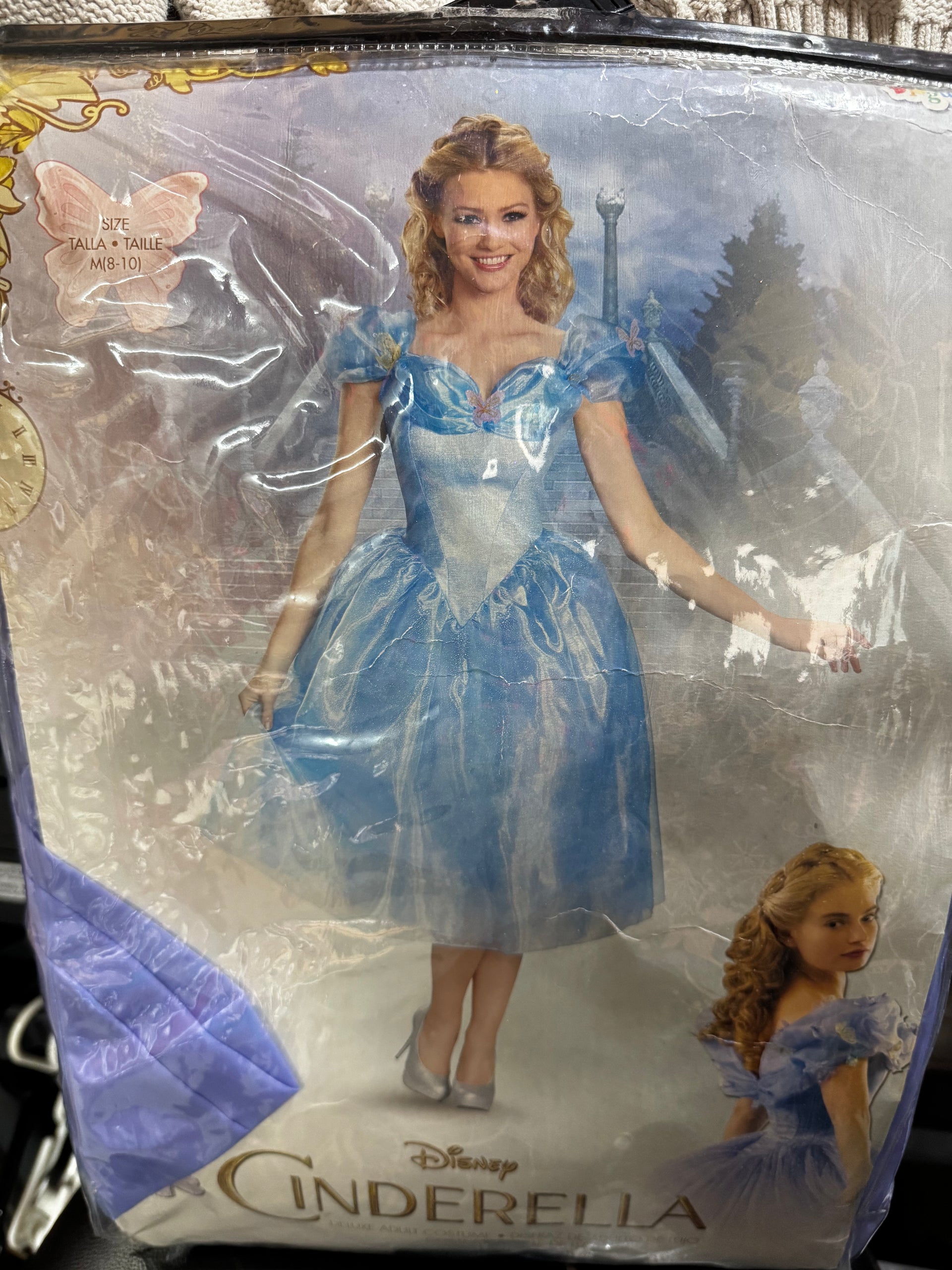 New~ Adult Cinderella Costume 8-10