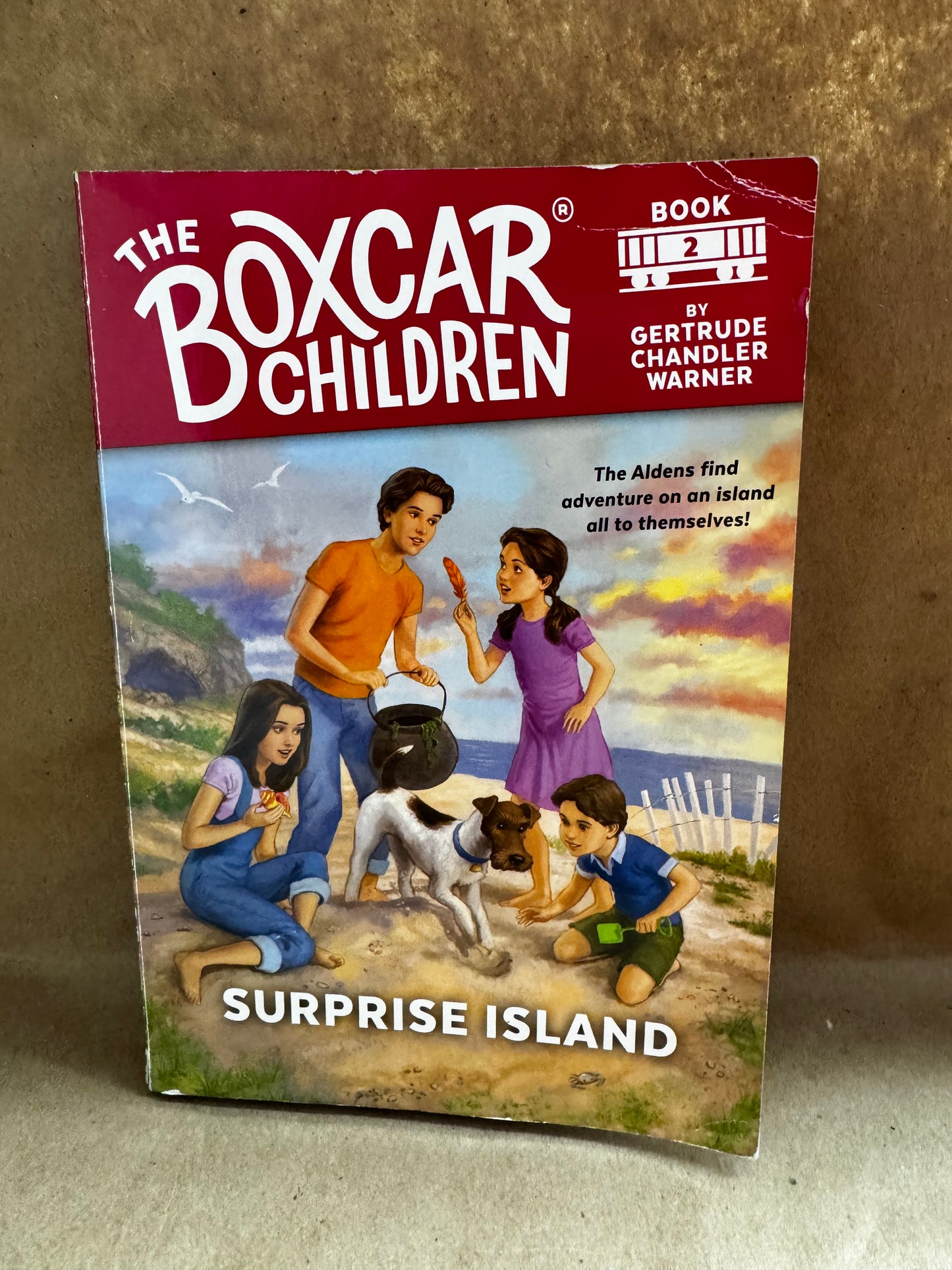 The Box Car Children book