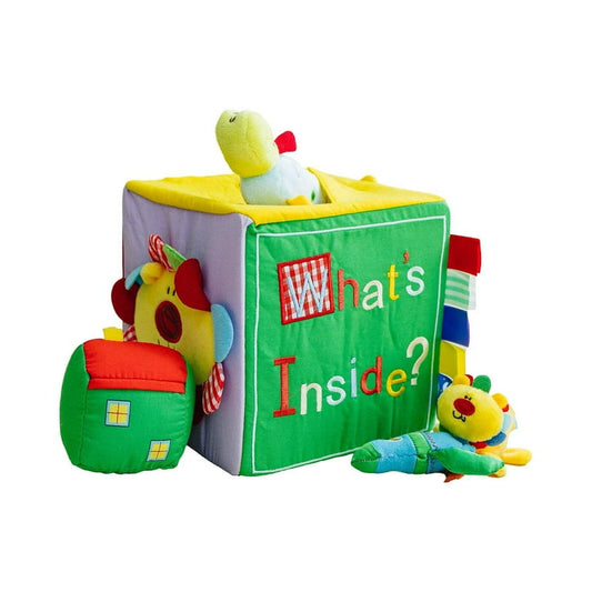 What’s Inside Learning Toy Box