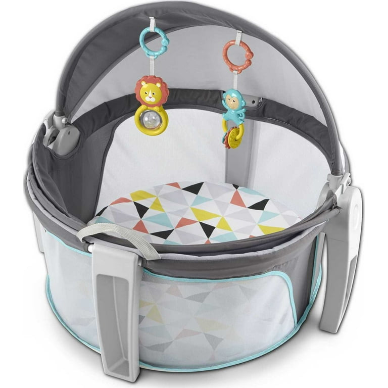 Fisher Price portable Bassinet (Pick up only)