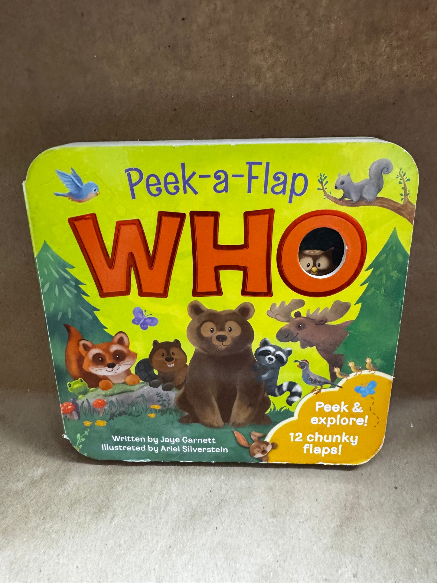 Peek a Flap Board Books
